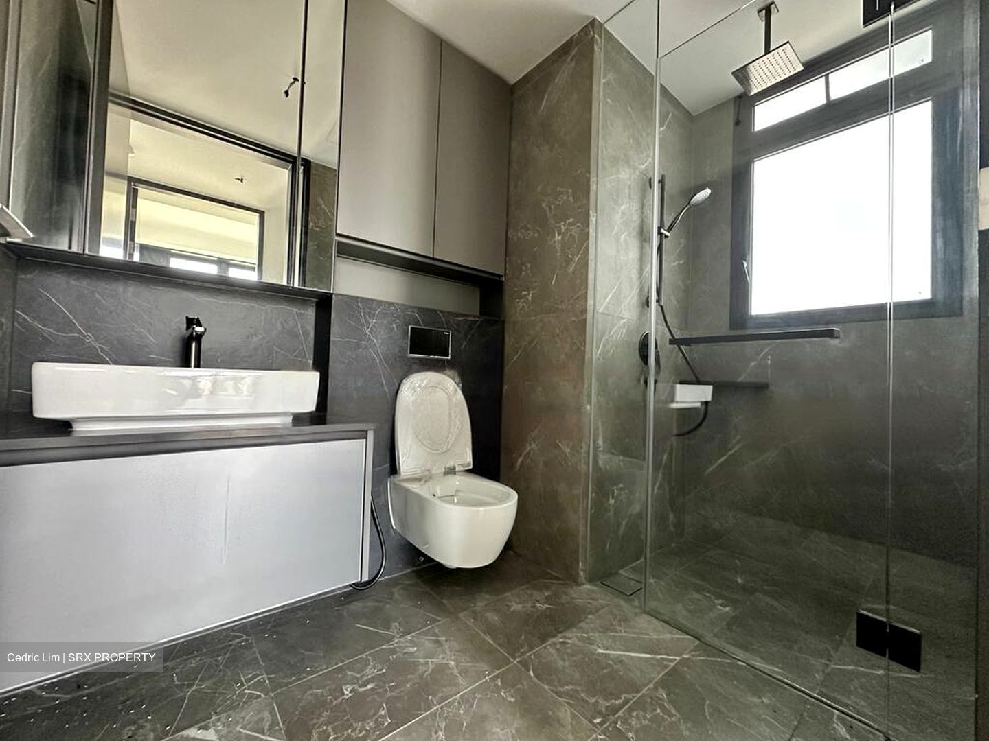 Irwell Hill Residences (D9), Apartment #455496741